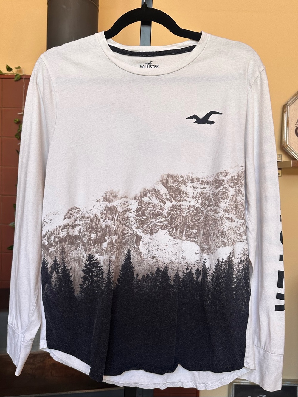 #285- Hollister Men's White Long-Sleeve Mountain & Forest Graphic Tee